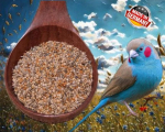 Prachtfinken fein Keimfutter Gras  4000 gr.