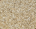Quinoa - Samen    Naturbelassen   1000  gr.