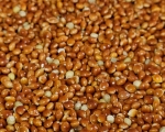Rote Hirse      Naturbelassen 1000 gr.