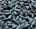Sonnenblumenkerne    schwarz - normal    1000 gr.
