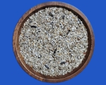 Zeisig Südamerika  Italien - Premium 4000 gr.