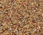 Kleesamen    Naturbelassen 1000 gr.