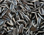 Sonnenblumenkerne gestreifte Kerne  4000 gr.